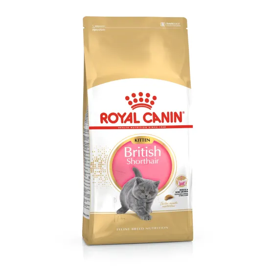 Сухий корм для кошенят породи Британська короткошерстна Royal Canin British Shorthair Kitten 400 г