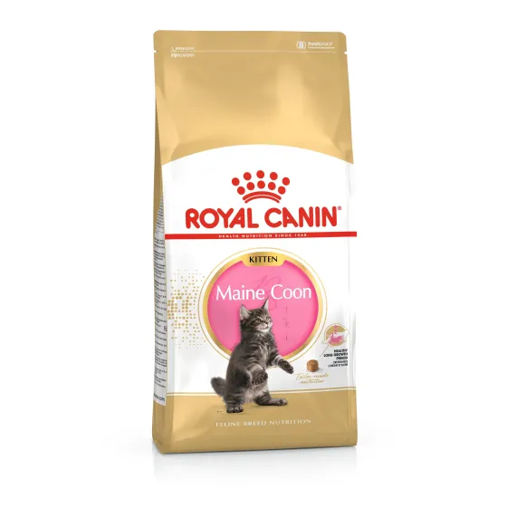 Сухий корм для кошенят породи Мейн-кун Royal Canin Maine Coon Kitten 400 г