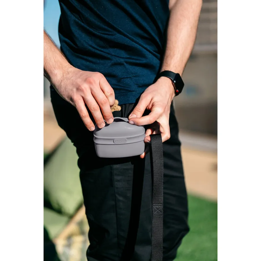 Контейнер для лакомств DEXAS Pooch Pouch с клипсой для пояса светло-серый
