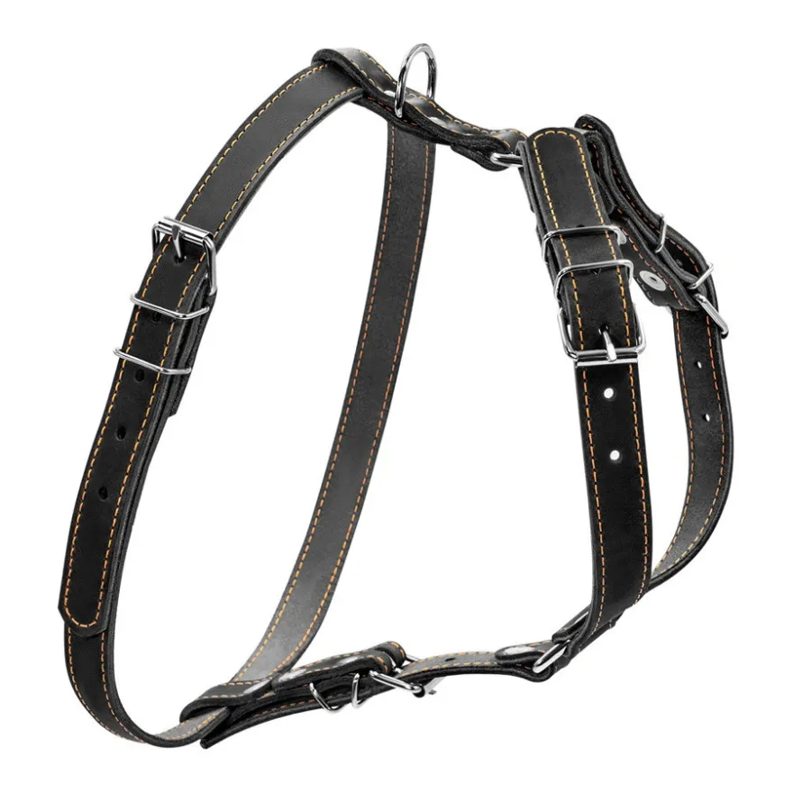 Шлейка для собак CoLLaR кожаная одинарная для мелких пород Ш 40-48 см / Г 43-51 см / 14 мм черная