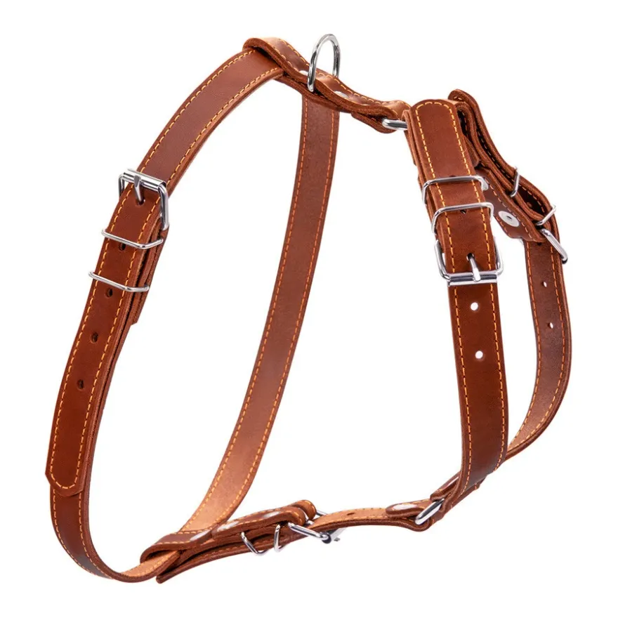 Шлейка для собак CoLLaR кожаная одинарная для мелких пород Шея 40-48 см / Грудь 43-51 см / 14 мм коричневая